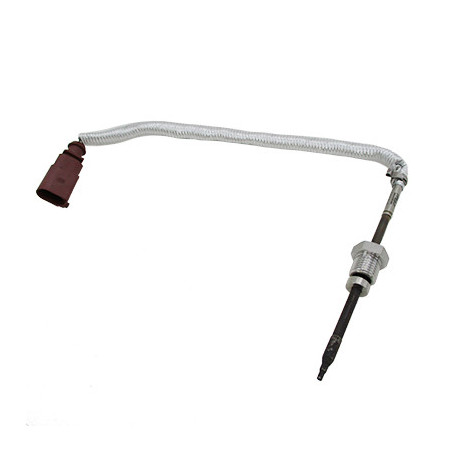 Palpeur (température des...