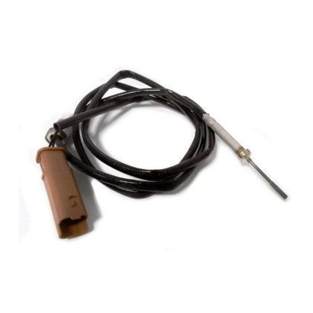 Palpeur (température des...