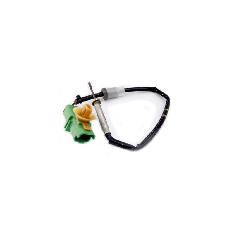 Palpeur (température des gaz) MEAT & DORIA