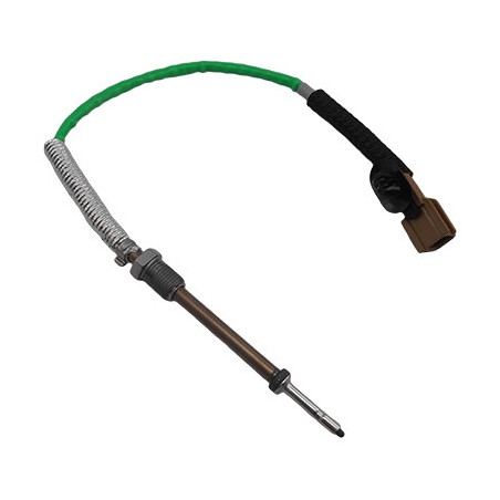 Palpeur (température des...