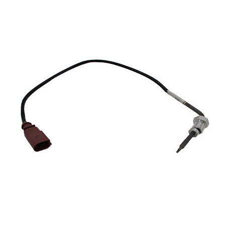 Palpeur (température des...