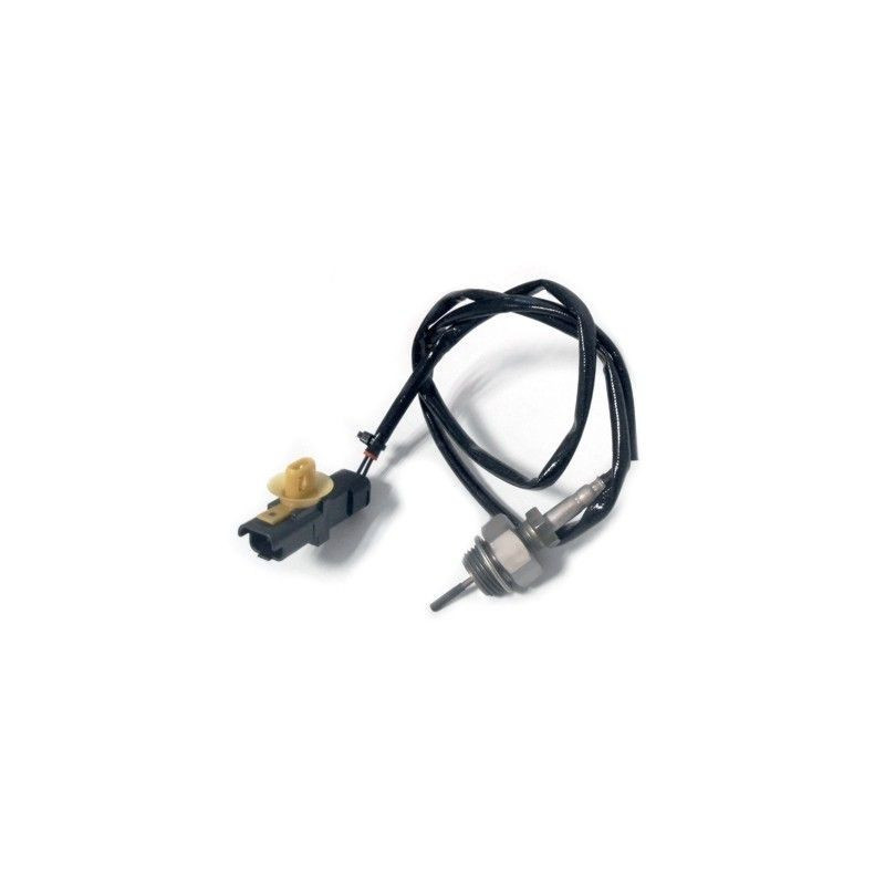 Palpeur (température des gaz) MEAT & DORIA