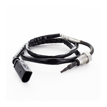 Palpeur (température des...