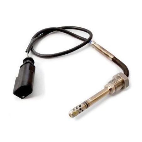 Palpeur (température des...