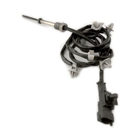 Palpeur (température des gaz) MEAT & DORIA