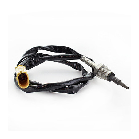 Palpeur (température des...