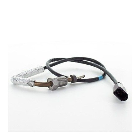 Palpeur (température des...