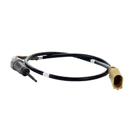 Palpeur (température des...