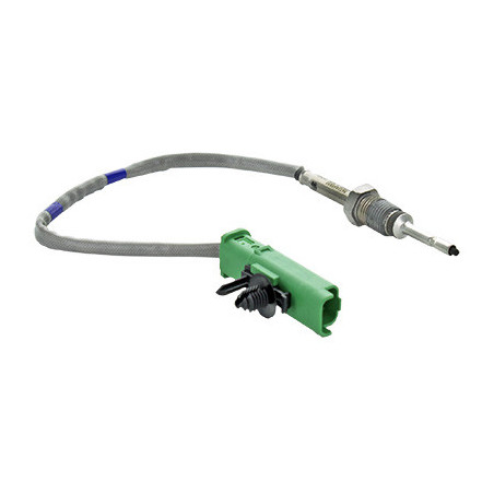 Palpeur (température des...