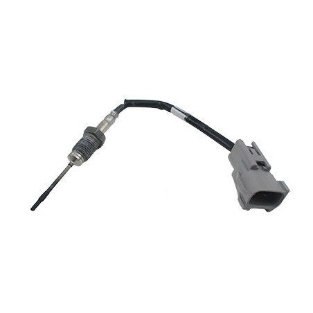 Palpeur (température des...