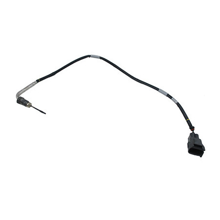 Palpeur (température des...