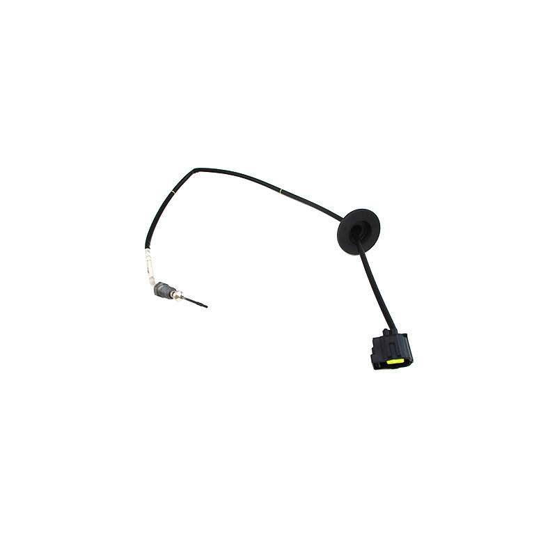 Palpeur (température des gaz) MEAT & DORIA