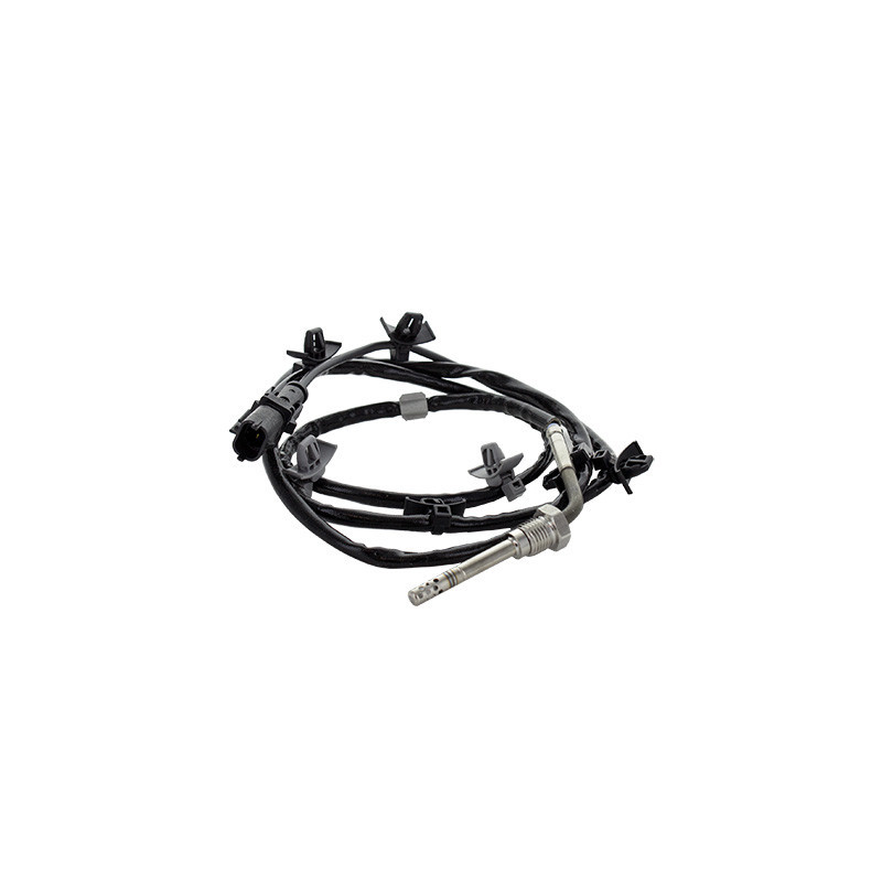 Palpeur (température des gaz) MEAT & DORIA