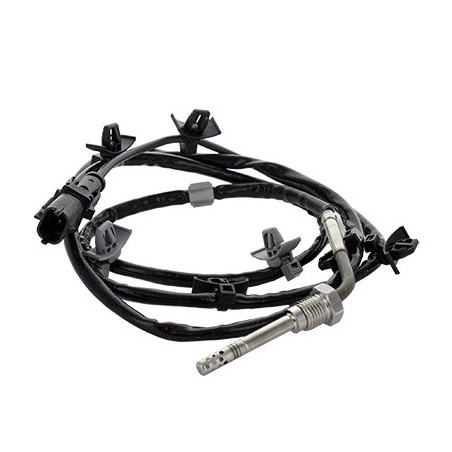 Palpeur (température des...