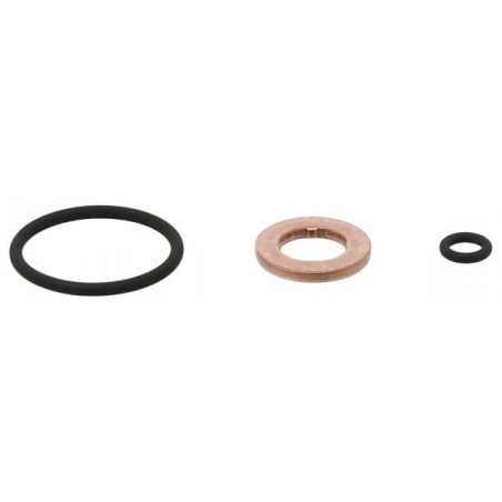 Kit de joints (injecteur) ELRING