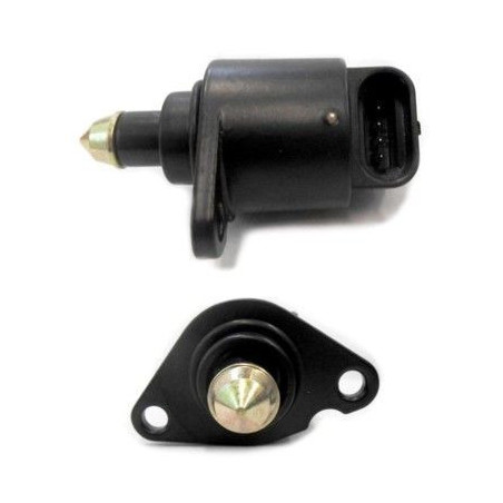 Moteur pas à pas (vanne de...