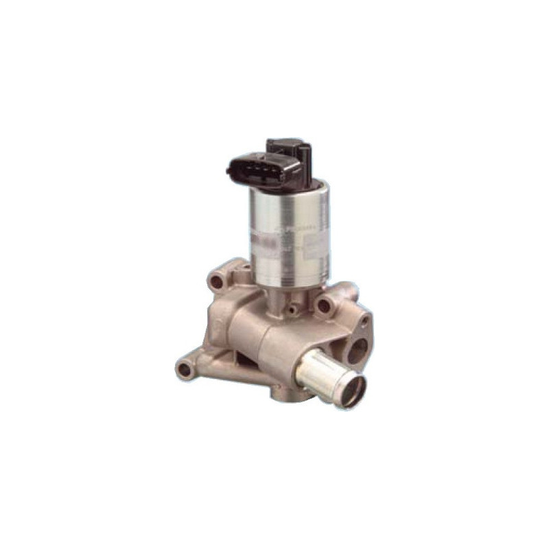 Vanne EGR / AGR MEAT & DORIA