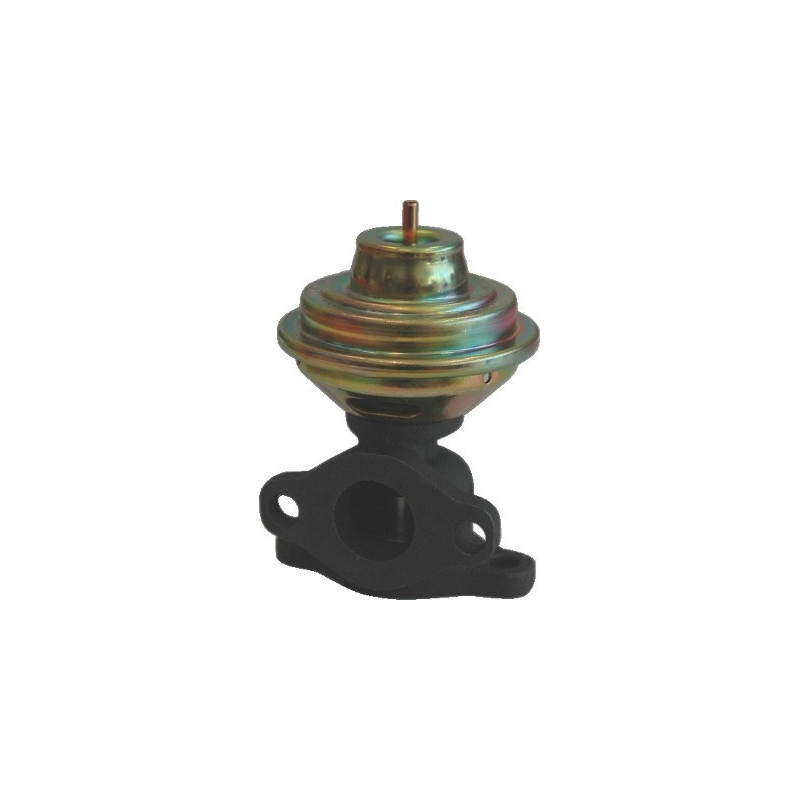 Vanne EGR / AGR MEAT & DORIA