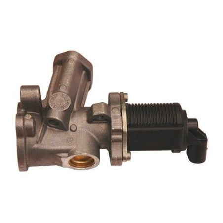 Vanne EGR / AGR MEAT & DORIA