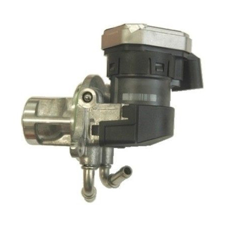 Vanne EGR / AGR MEAT & DORIA