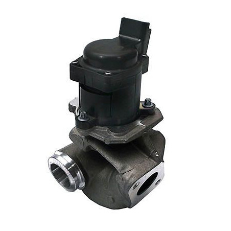 Vanne EGR / AGR MEAT & DORIA