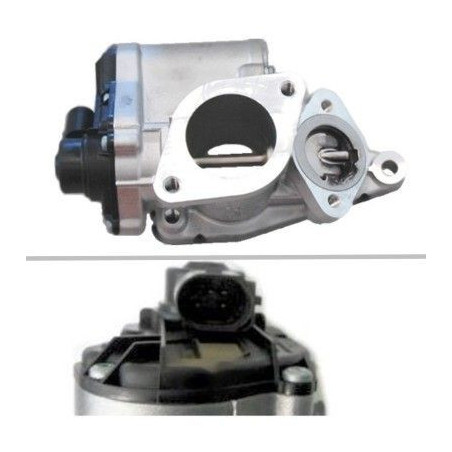 Boîtier de papillon MEAT &...