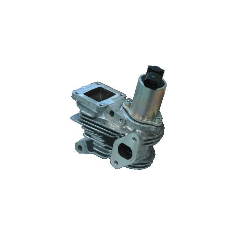 Vanne EGR / AGR MEAT & DORIA