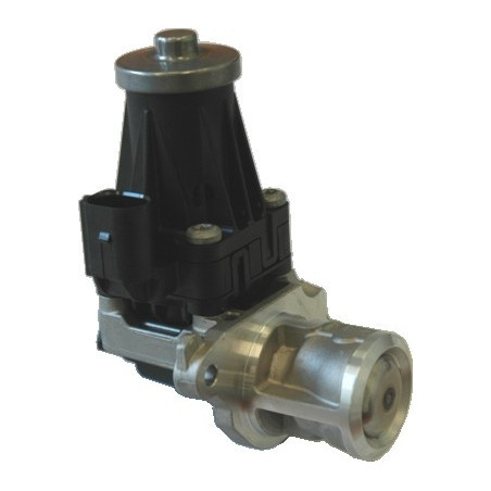 Vanne EGR / AGR MEAT & DORIA