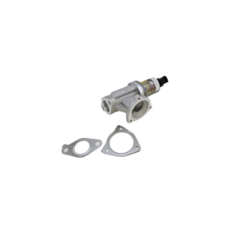 Vanne EGR / AGR MEAT & DORIA