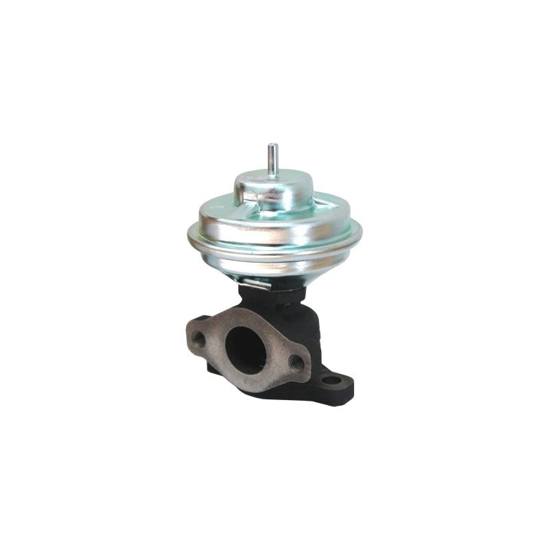 Vanne EGR / AGR MEAT & DORIA