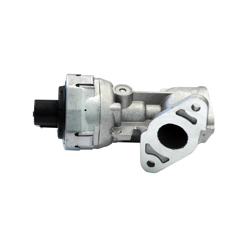 Vanne EGR / AGR MEAT & DORIA