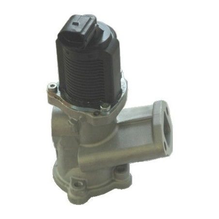 Vanne EGR / AGR MEAT & DORIA