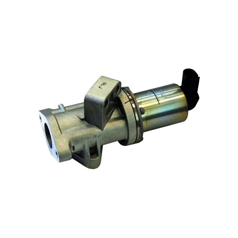 Vanne EGR / AGR MEAT & DORIA