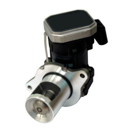 Vanne EGR / AGR MEAT & DORIA