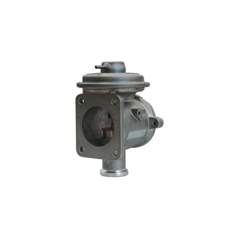 Vanne EGR / AGR MEAT & DORIA