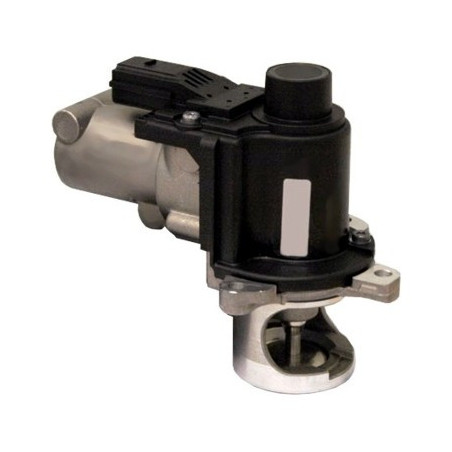 Vanne EGR / AGR MEAT & DORIA