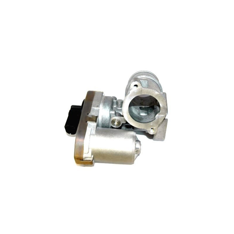 Vanne EGR / AGR MEAT & DORIA