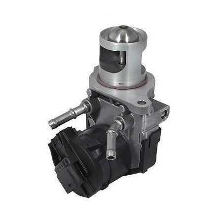 Vanne EGR / AGR MEAT & DORIA