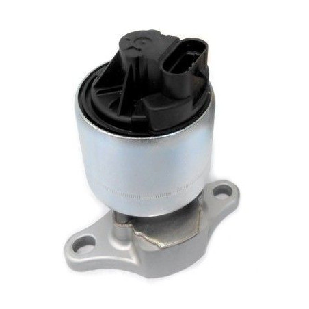 Vanne EGR / AGR MEAT & DORIA