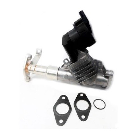 Vanne EGR / AGR MEAT & DORIA