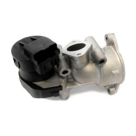 Vanne EGR / AGR MEAT & DORIA