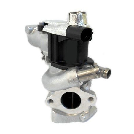 Vanne EGR / AGR MEAT & DORIA