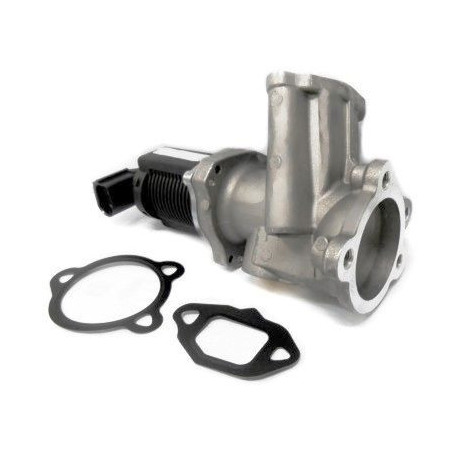 Vanne EGR / AGR MEAT & DORIA