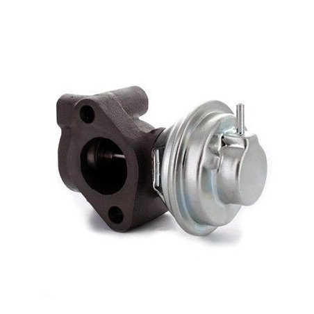 Vanne EGR / AGR MEAT & DORIA