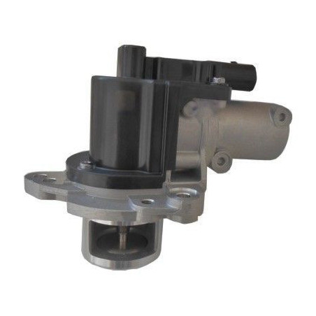 Vanne EGR / AGR MEAT & DORIA