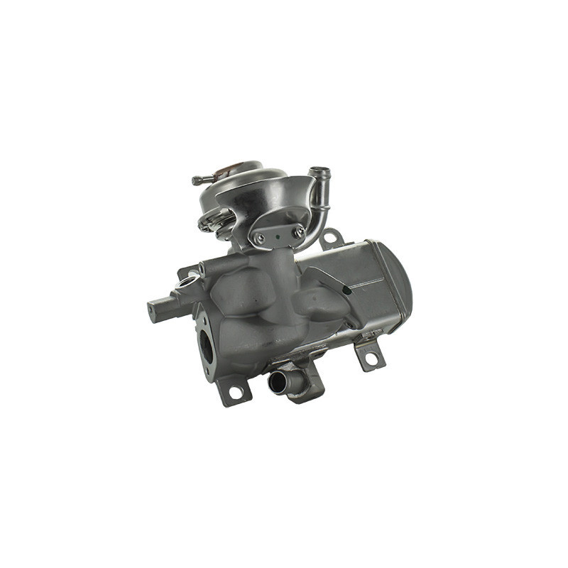 Module-AGR MEAT & DORIA