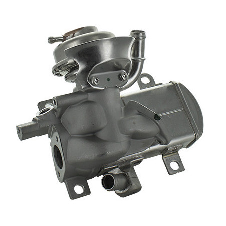 Module-AGR MEAT & DORIA