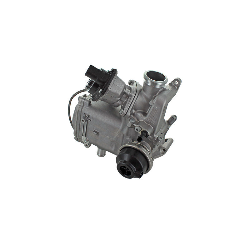 Module-AGR MEAT & DORIA