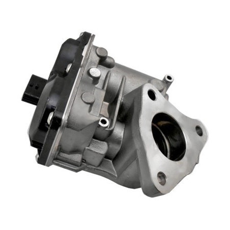 Vanne EGR / AGR MEAT & DORIA