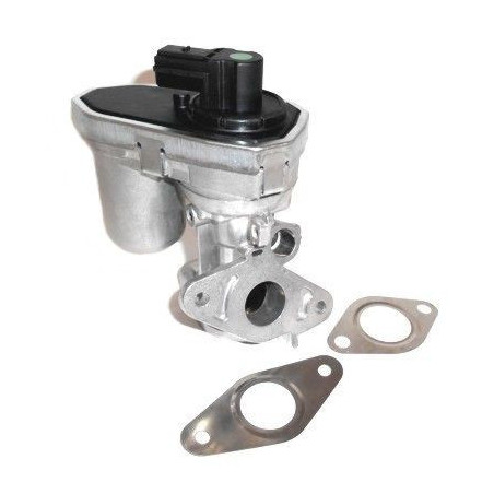 Vanne EGR / AGR MEAT & DORIA